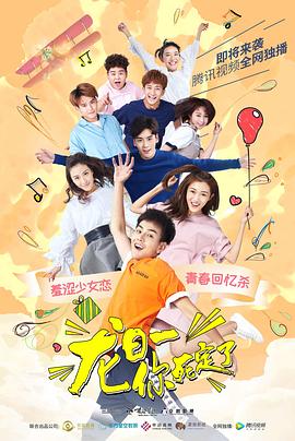 狗狗监护权 封面图